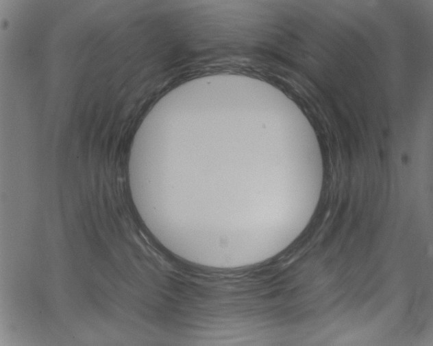 X0000066100284200603100946