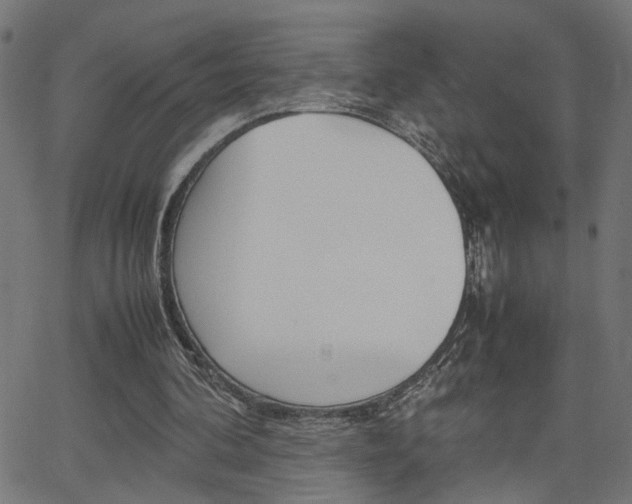 X0000066100292200603100945