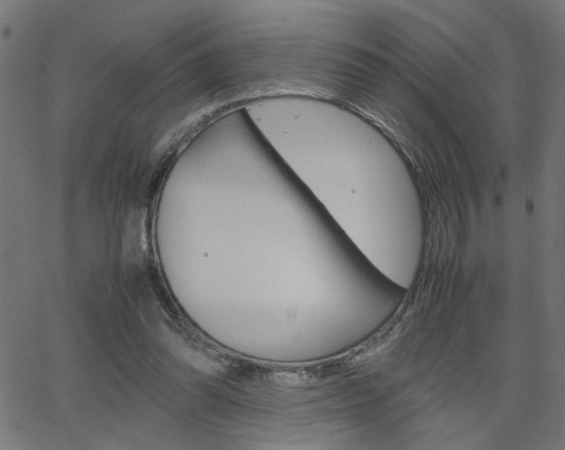X0000066100302200603100945