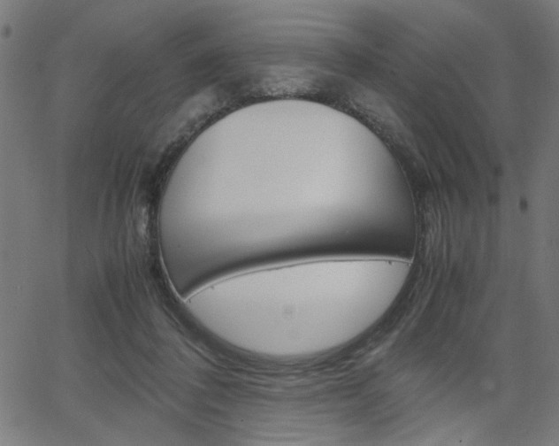 X0000066100308200603100945