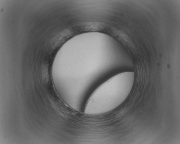X0000066100312200603100945