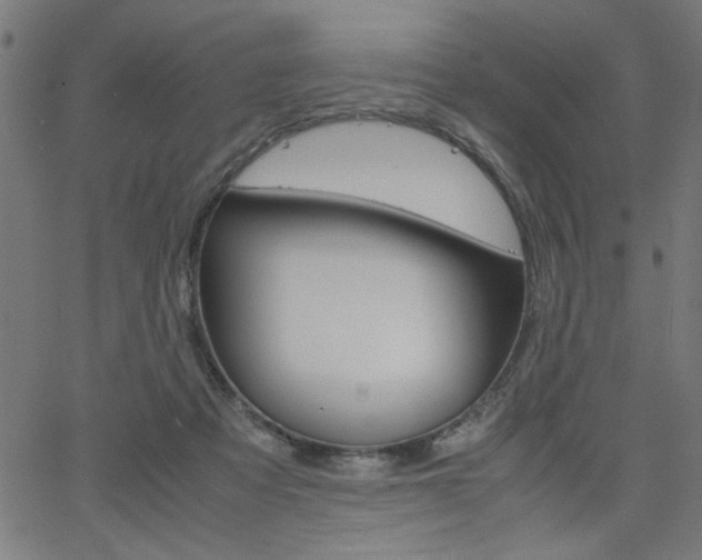 X0000066100313200603100945