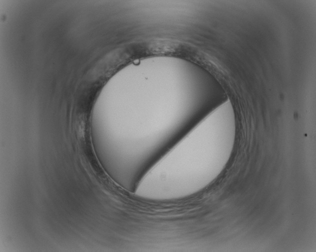 X0000066100315200603100945