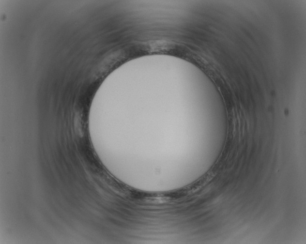 X0000066100316200603100945