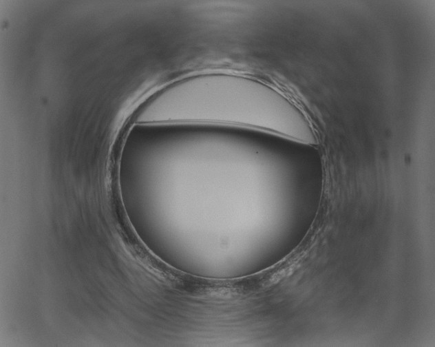 X0000066100344200603100944