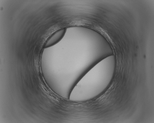 X0000066100386200603100944
