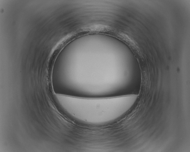 X0000066100392200603100944