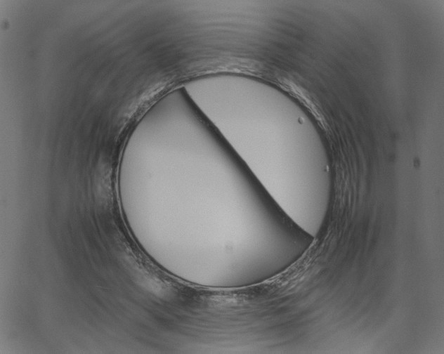 X0000066100394200603100944