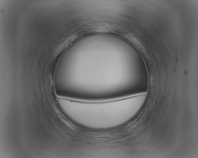 X0000066100397200603100944