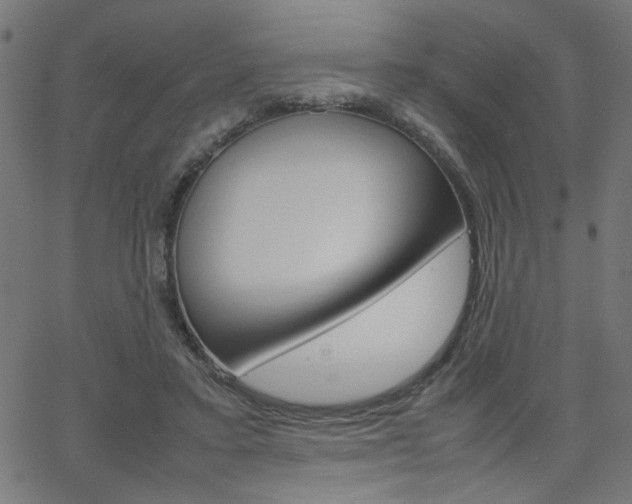 X0000066100403200603100943