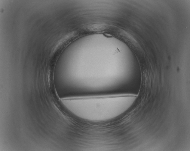 X0000066100404200603100943