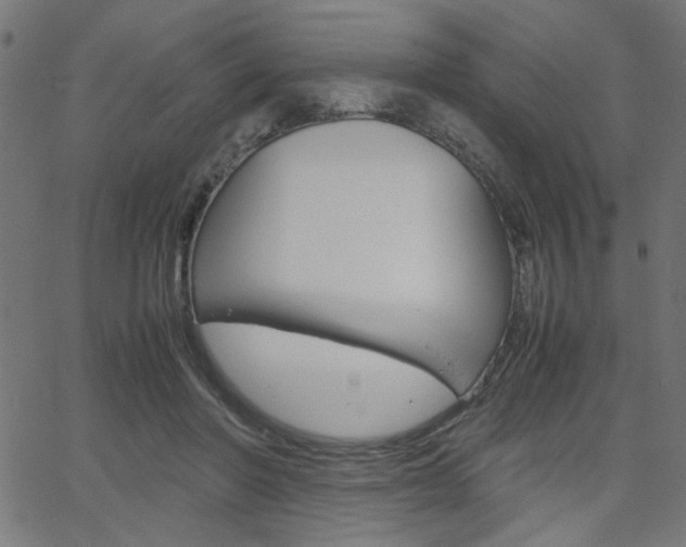 X0000066100406200603100943
