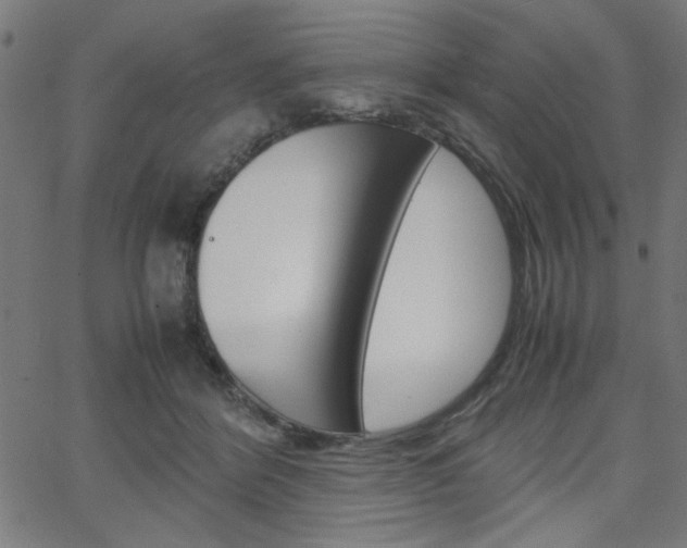 X0000066100412200603100943