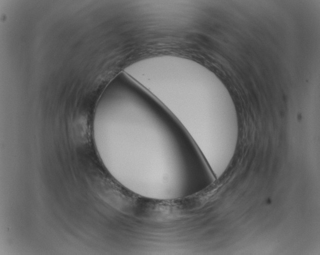 X0000066100420200603100943