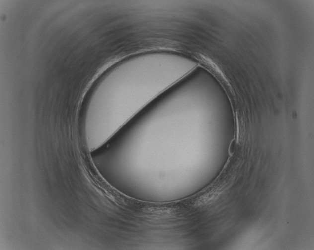 X0000066100435200603100942