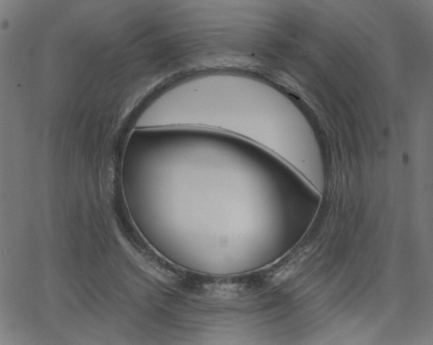 X0000066100448200603100942