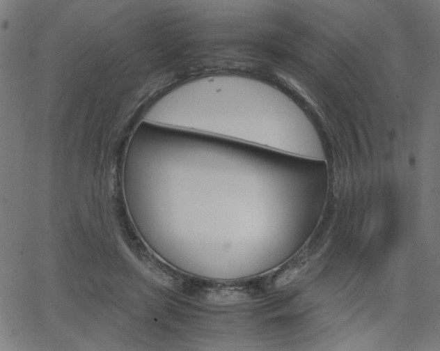 X0000066100451200603100943
