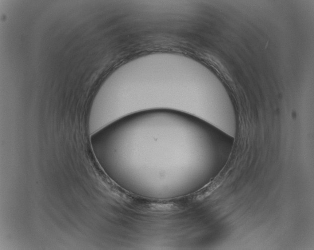 X0000066100457200603100943