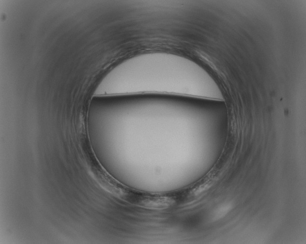 X0000066100459200603100943