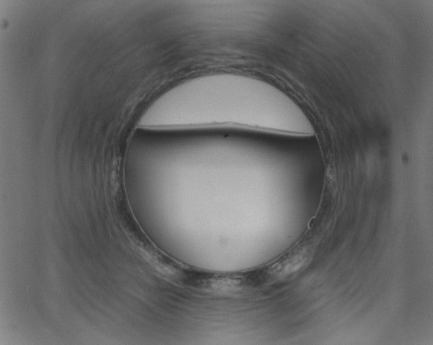 X0000066100462200603100943