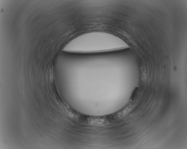X0000066100471200603100943