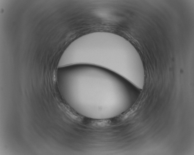 X0000066100479200603100943