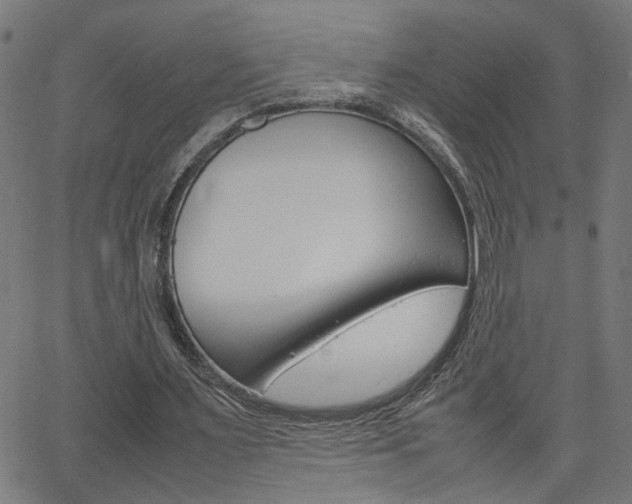 X0000066100483200603100942