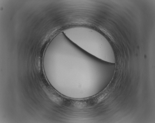 X0000066100494200603100942