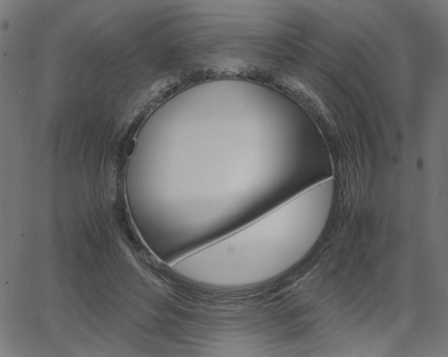 X0000066100496200603100942