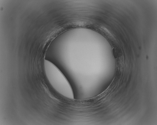 X0000066100500200603100942
