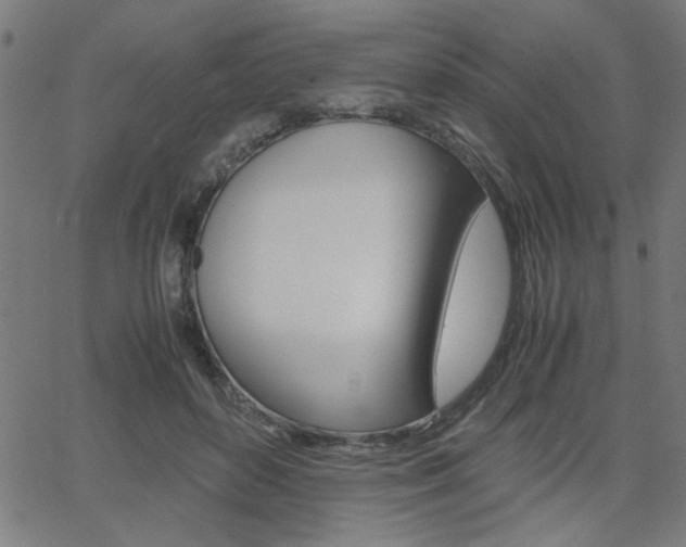 X0000066100504200603100942