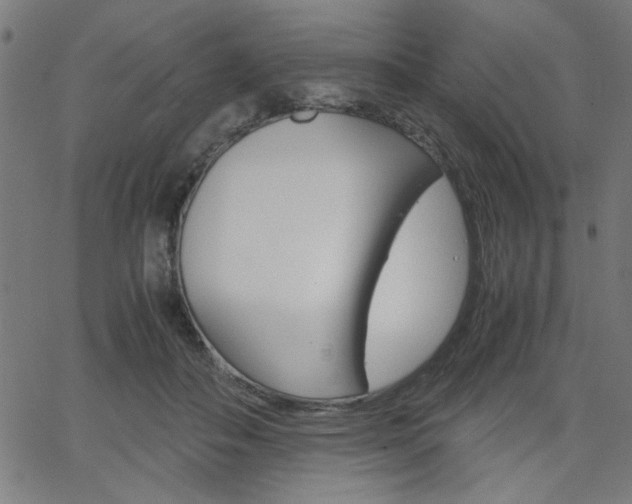 X0000066100506200603100942