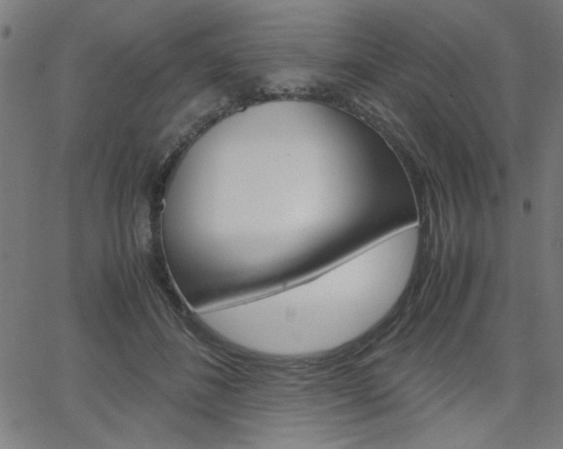 X0000066100508200603100942