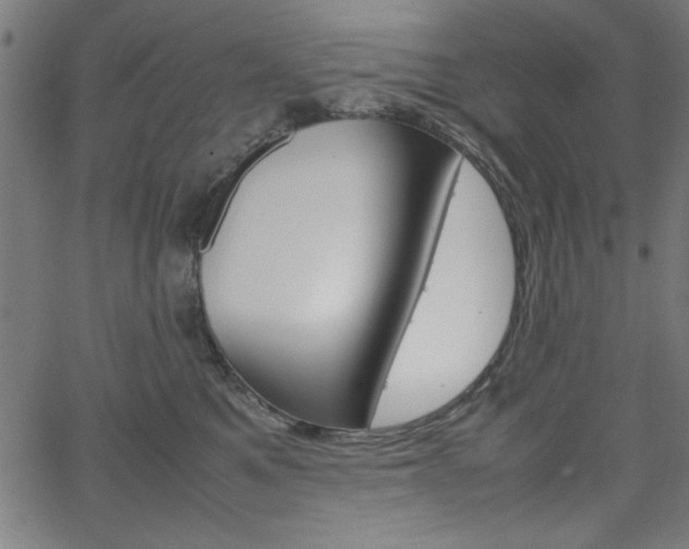 X0000066100521200603100941