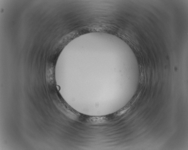 X0000066100526200603100941