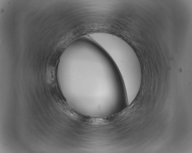 X0000066100528200603100941