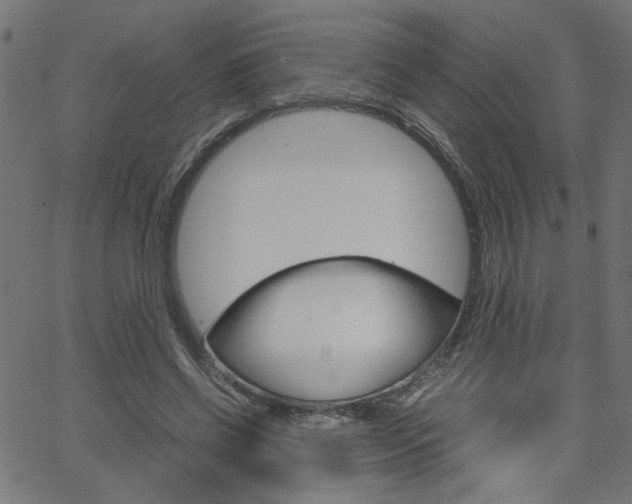 X0000066100542200603100941