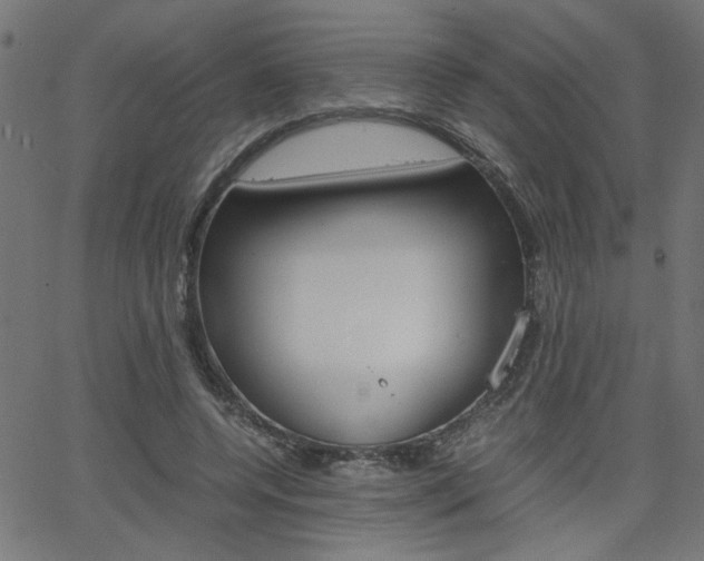 X0000066100544200603100941