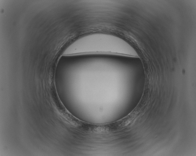 X0000066100546200603100941
