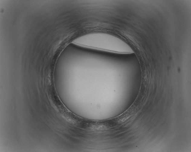X0000066100547200603100941