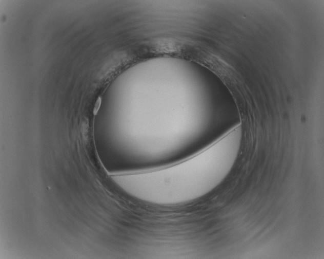 X0000066100556200603100941