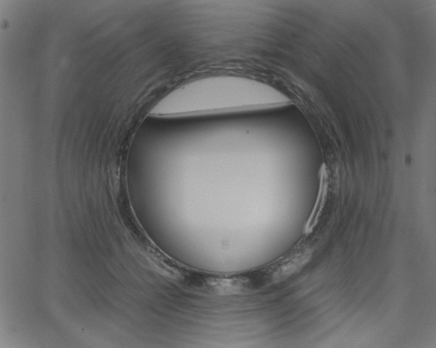 X0000066100558200603100941