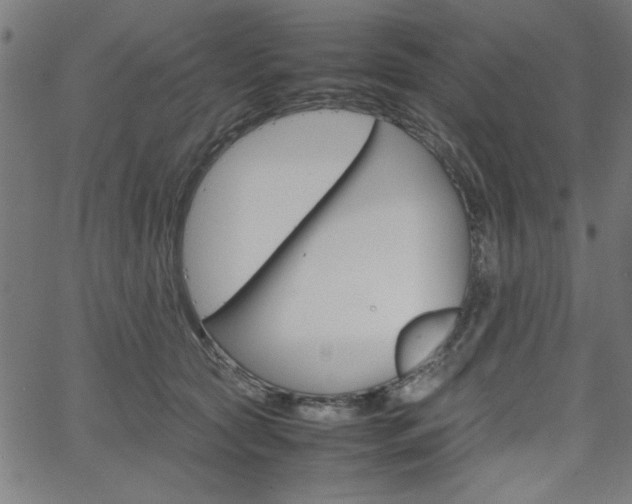 X0000066100561200603100941