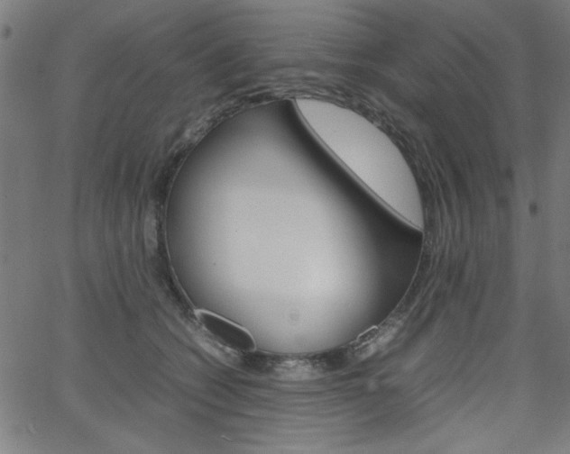 X0000066100562200603100941