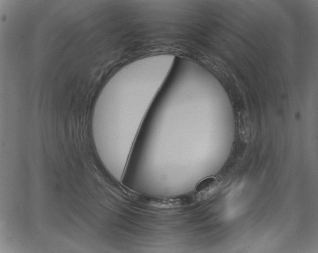 X0000066100563200603100941