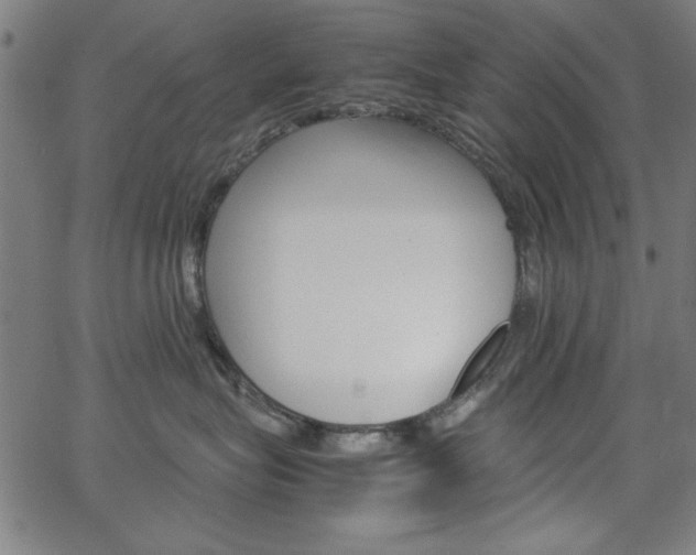 X0000066100575200603100941