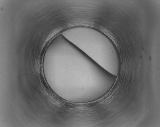 X0000066100578200603100941