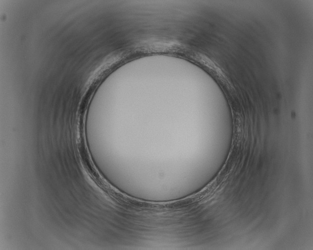 X0000066100582200603100940