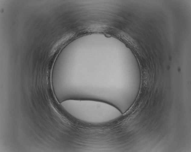 X0000066100586200603100940