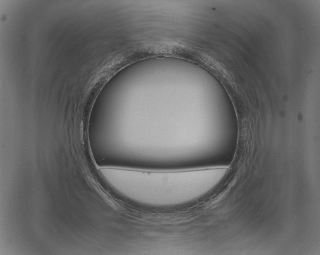 X0000066100589200603100940